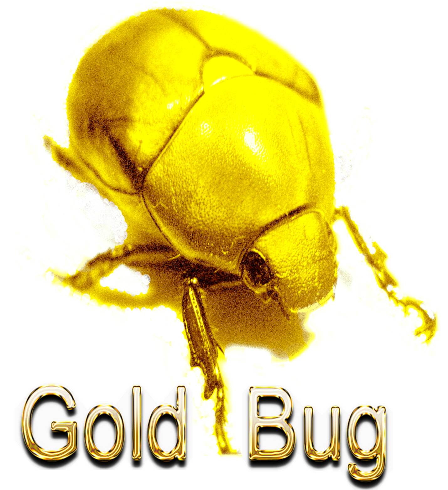gold-bug-post.jpg